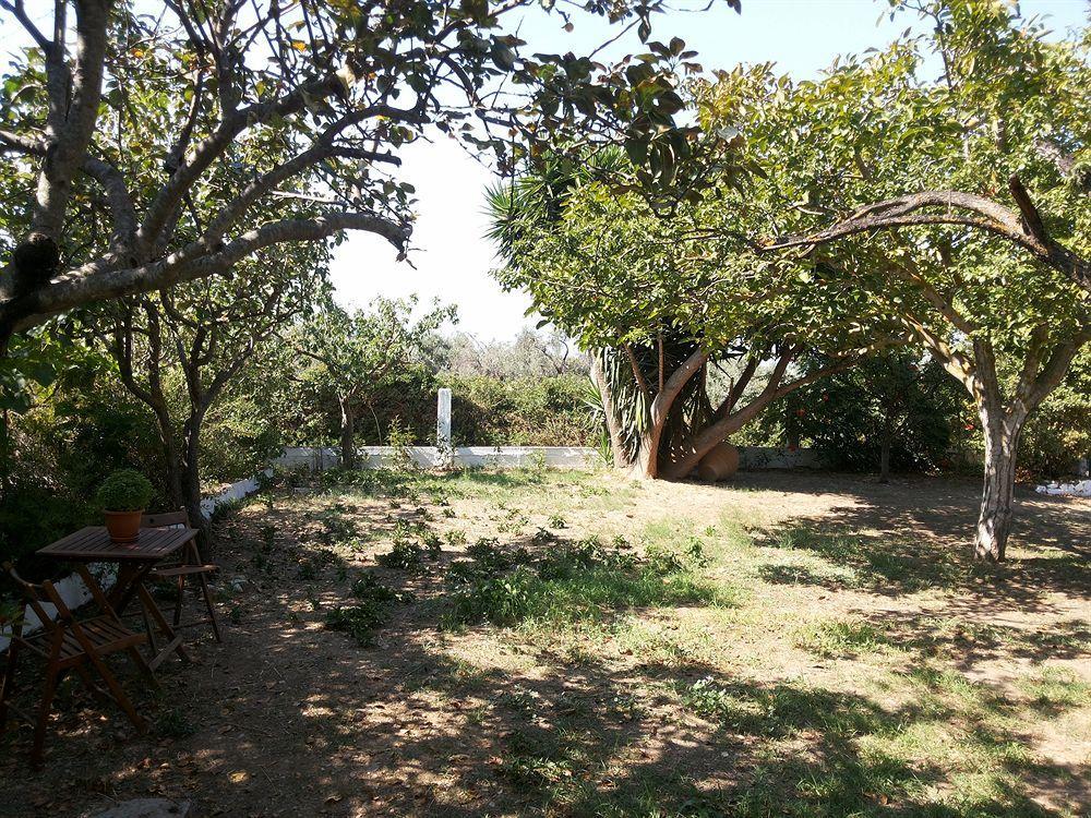 Rastoni Guest House Skopelos ภายนอก รูปภาพ